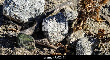 Dessert Felsen, getrocknete Pflanzen und eine zerbrochene Flasche im La Quinta, Kalifornien Stockfoto