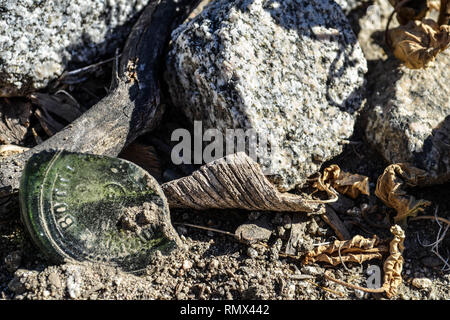 Dessert Felsen, getrocknete Pflanzen und eine zerbrochene Flasche im La Quinta, Kalifornien Stockfoto