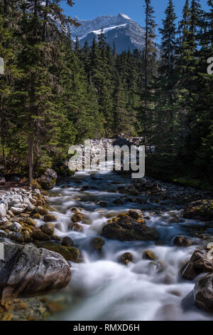 Ein Fluss in Kanada Cascading, durch Felsen, im Hintergrund ist ein schneebedeckten Berg, im Hochformat Aspekt mit grünen Wald Schuß auf beiden Seiten von Th Stockfoto