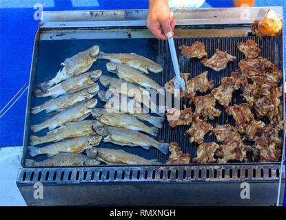 Schön gekocht gebraten wachtelstücke Fleisch und ganze Forelle Fisch auf einem elektrischen Grill auf einer Yacht in das offene Meer. Das Konzept der schnellen Kochen delici Stockfoto