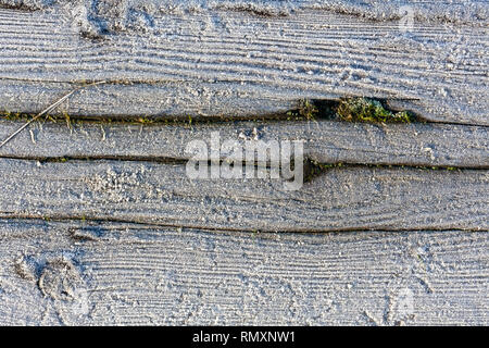 Holz- hintergrund Textur versehene Raureif im Winter - Bild Stockfoto