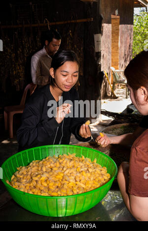 Kambodscha, Phnom Penh, Koh Dach, Seide Insel traditionelle Weberei Zentrum, Guide holding Silk Worm Kokons Stockfoto