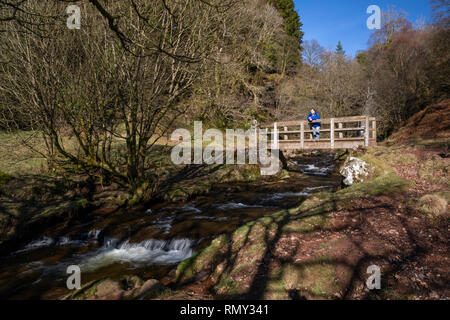 Blaen-y-Glyn Wasserfälle in die Brecon Beacons, Wales Stockfoto