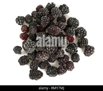 Gefrorene Brombeeren isoliert auf weißem Stockfoto