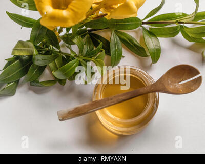 Honig in einem Glas mit Löffel aus Holz mit weißem Hintergrund. Gelbe und grüne Pflanzen. Um zu veranschaulichen, Sommer und vegetarische Ernährung oder Skin Care Produkte Stockfoto