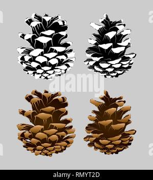 Pine Cone Vektor-illustration, schwarze und weiße und bunte Version Stock Vektor