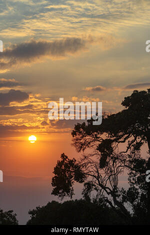 Sonnenaufgang über dem Ngorongoro Krater mit einem Baum und Wolken, Ngorongoro Conservation Area, Serengeti, Tansania, Afrika Stockfoto