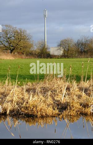 Mobile Phone Mast, Cellular Phone Mast, Ländliche Umgebung, Cheshire, England, Kommunikation, Antennen, Antenne, Technologie,,Mast, Telefon, Netzwerk. Stockfoto