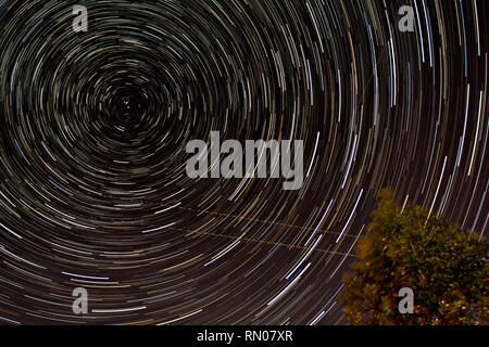 Star Light Wanderwege rund um den Polarstern mit Eukalyptus Baum im Vordergrund. Stockfoto