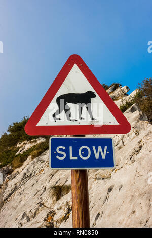 Bild von einem Schild Warnung über die Anwesenheit von Affen (makaken) im Fels Naturpark, Gibraltar, Vereinigtes Königreich Stockfoto