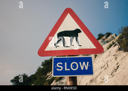 Bild von einem Schild Warnung über die Anwesenheit von Affen (makaken) im Fels Naturpark, Gibraltar, Vereinigtes Königreich Stockfoto