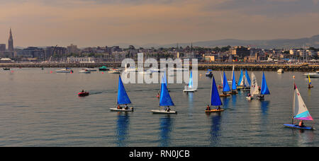 Yachten in Dun Laoghaire Hafen. Stockfoto