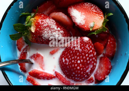 Schüssel voller saftiger große Erdbeeren mit Zucker, Milch und ein Löffel in der it Stockfoto
