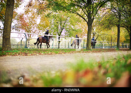 Ausbildung jockeys nehmen Pferde auf dem galoppiert in Newmarket ein Herbstmorgen Stockfoto