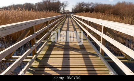 A wooden pedestrian walkway through wild grass to a beach Stockfoto
