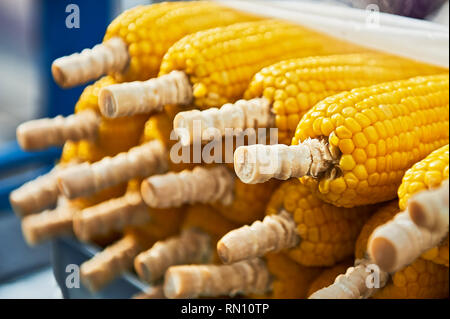 Close-up aus gedämpftem frischer gelber Mais zum Verkauf von Straßenverkäufern in Bangkok, Thailand Stockfoto