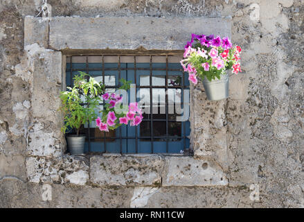Nahaufnahme eines alten Fenster mit bunten Blumentöpfen dekoriert. Horizontale Ansicht Stockfoto