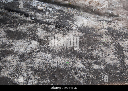 Entfrosterschalter Chemikalien auf Asphalt in Moskau Stockfoto