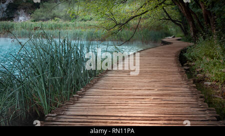 Leer und Einsam Neben neblig und trüb Wasser innerhalb der Nationalpark Plitvicer Seen in Kroatien in der Morgendämmerung Stockfoto