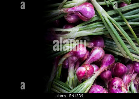 Kleine rote Zwiebeln mit einem schwarzen Hintergrund auf der linken Seite für Text. Stockfoto