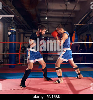 Zwei sportliche Männer Boxer trainieren Kick Boxing im Ring im Health Club Stockfoto