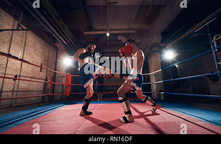 Zwei junge Männer Kämpfer trainieren Kickboxen im Ring im Health Club Stockfoto