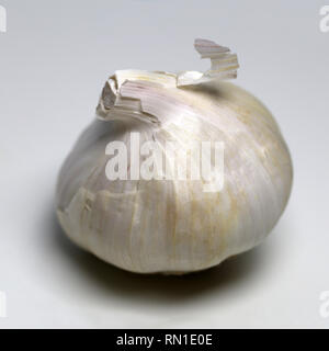 Gesamten ungeschälten Knoblauch auf einem weißen Tisch. Nahaufnahme mit einem Makro Objektiv aufgenommen. Stockfoto