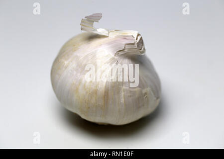 Gesamten ungeschälten Knoblauch auf einem weißen Tisch. Nahaufnahme mit einem Makro Objektiv aufgenommen. Stockfoto