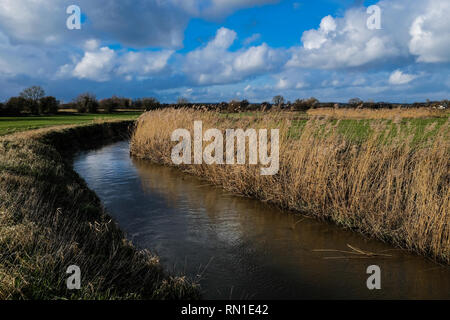 Ein kleiner Bach schlängelt sich durch die englische Landschaft mit sonnigen blauen Himmel und weiße flauschige Wolken. Die Banken sind gelogen mit Schilf. Stockfoto