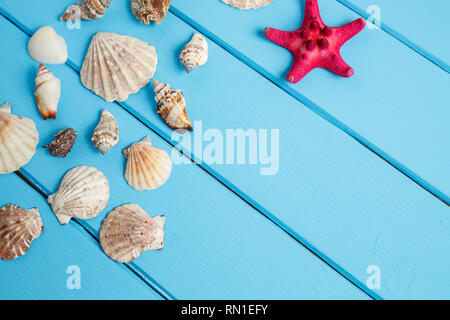 Sommer Hintergrund, Muscheln auf blauem Hintergrund Holz, Muscheln auf hellblauem Hintergrund Stockfoto