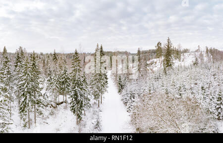 Landschaft während der kalten Jahreszeit bewaldete Stockfoto