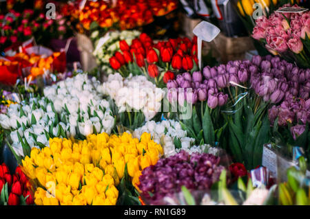Viele verschiedene Farben Tulpen im Shop Stockfoto