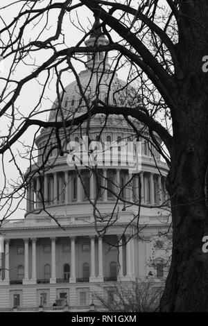 Washington D.C. - ca. März 2008: Die US-Capitol Building in Schwarz und Weiß Ich Stockfoto