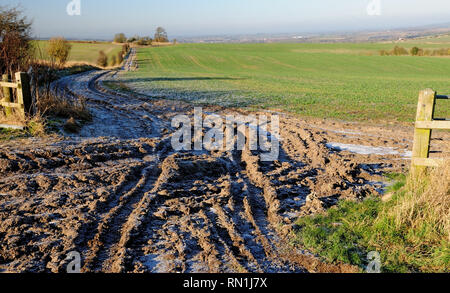 Eine gefrorene ausgefahrene Spur in einem offenen Gateway an einem kalten Winter. Stockfoto