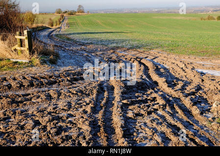 Eine gefrorene ausgefahrene Spur in einem offenen Gateway an einem kalten Winter. Stockfoto