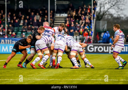 London, Großbritannien. 16. Februar 2019. Leicester Tigers Rugby vorwärts drücken während der Aviva Premiership Übereinstimmung zwischen Sarazenen und Leicester Tigers in der Allianz Park, London, England am 16. Februar 2019. Foto von Phil Hutchinson. Nur die redaktionelle Nutzung, eine Lizenz für die gewerbliche Nutzung erforderlich. Keine Verwendung in Wetten, Spiele oder einer einzelnen Verein/Liga/player Publikationen. Credit: UK Sport Pics Ltd/Alamy leben Nachrichten Stockfoto