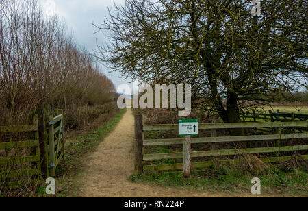 Rutland Water Oakham 16. Februar 2019: Besucher genossen blue sky cool leichte Winde, da sie gute Vorführungen von verschiedenen Vögeln um die Lagunen genießen. Clifford Norton Alamy. Stockfoto