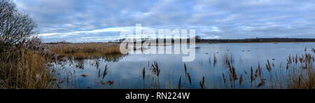 Rutland Water Oakham 16. Februar 2019: Besucher genossen blue sky cool leichte Winde, da sie gute Vorführungen von verschiedenen Vögeln um die Lagunen genießen. Clifford Norton Alamy. Stockfoto