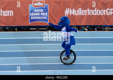 Birmingham, Großbritannien. 16. Februar 2019. Das offizielle Maskottchen Britbear Jubel der Massen während Muller Indoor Grand Prix in Birmingham 2019 im Arena Birmingham am Samstag, den 16. Februar 2019. BIRMINGHAM, ENGLAND. (Nur redaktionelle Nutzung, eine Lizenz für die gewerbliche Nutzung erforderlich. Keine Verwendung in Wetten, Spiele oder einer einzelnen Verein/Liga/player Publikationen.) Credit: Taka G Wu Stockfoto