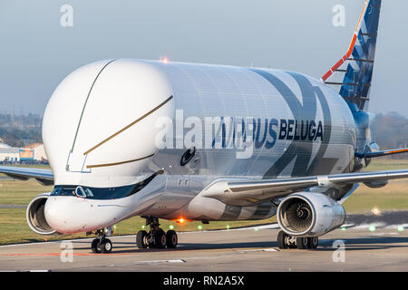 Die Airbus Beluga XL bei Hawarden Airport in Flintshire, North Wales kurz nach der Landung in Großbritannien zum ersten Mal am 14. Februar 2019 Stockfoto