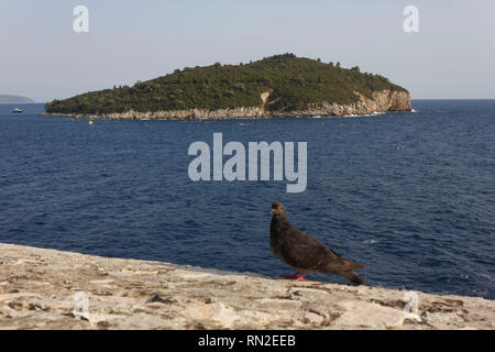 DUBROVNIK, KROATIEN - 22. AUGUST 2017: Blick von Dubrovnik auf die Insel Lokrum, Naturpark Stockfoto