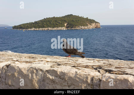 DUBROVNIK, KROATIEN - 22. AUGUST 2017: Blick von Dubrovnik auf die Insel Lokrum, Naturpark Stockfoto