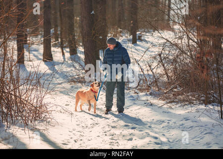 Ein Mann mit einem Hund an der Leine gehen auf den verschneiten Winter Pinienwald Stockfoto