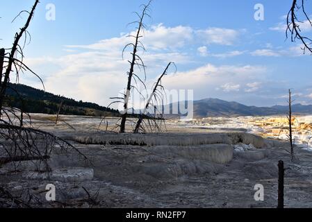 Tote Bäume stehen in von der untergehenden Sonne beleuchtete Landschaft Stockfoto