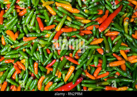 Grün, Orange und Rot kleine Chili, scharfes Essen Stockfoto