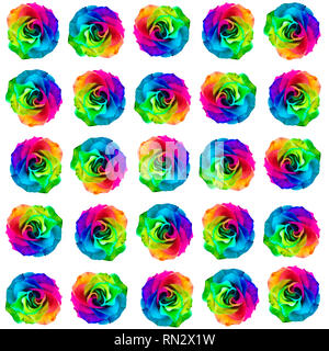 Nahaufnahme von einem regenbogenfarbenen Rose in voller Blüte auf weißem Hintergrund Stockfoto