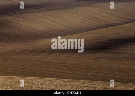 Mährischen Toskana Landschaft. Abgeernteten Feldern und Wiesen in Süd Mähren, Tschechien. Wellige Landschaft im Herbst Sonnenuntergang Stockfoto