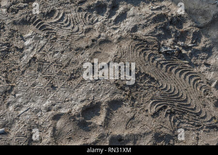 Schuhdrucke im schlammigen Landweg. Metapher bleibt im Schlamm, schlammige Textur, schlammige Oberfläche, Schlamm, Winterschlamm, schlammiger Boden. Stockfoto