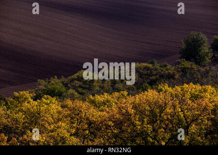 Mährischen Toskana Landschaft. Abgeernteten Feldern und Wiesen in Süd Mähren, Tschechien. Wellige Landschaft im Herbst Sonnenuntergang Stockfoto