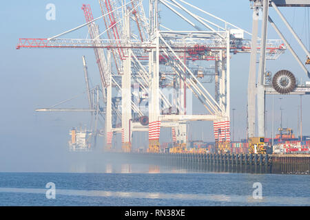 Meer Nebel Heben über Brückenkrane (Container Krane), Im Container Terminal Southampton, Hampshire, Vereinigtes Königreich. Stockfoto